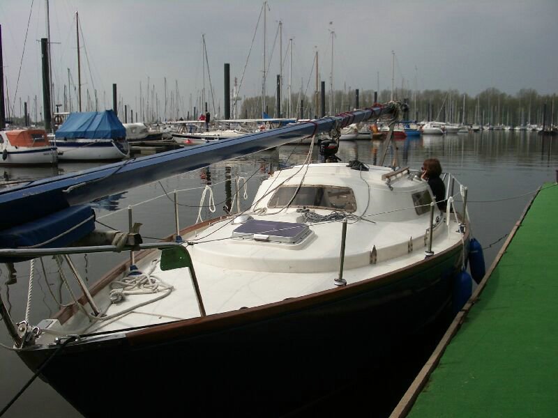 IMGP0225.jpg
